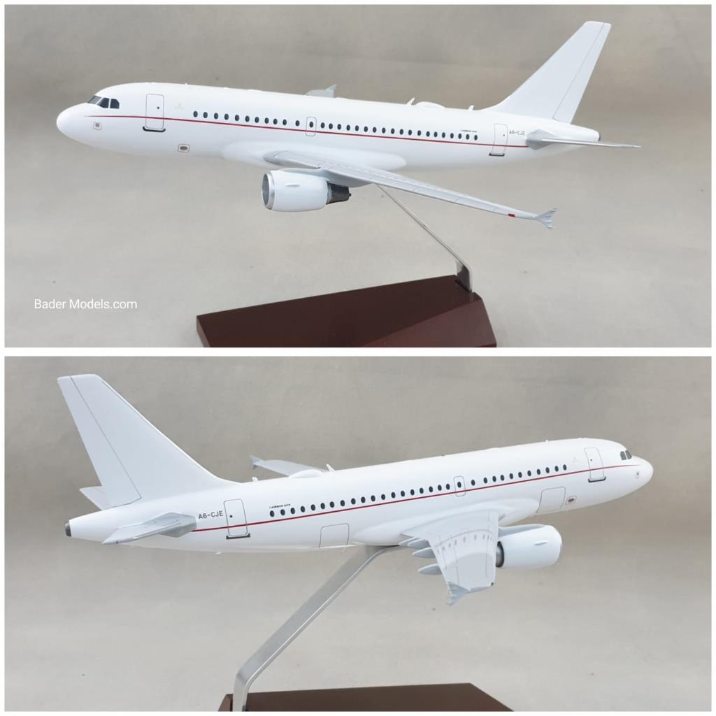 Private - A319 (VIP) - (1:100)